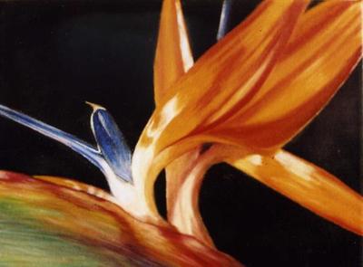 Bird of Paradise Revisited by Sue Lassetter