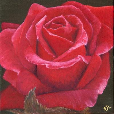 Love Rose by Sue Lassetter