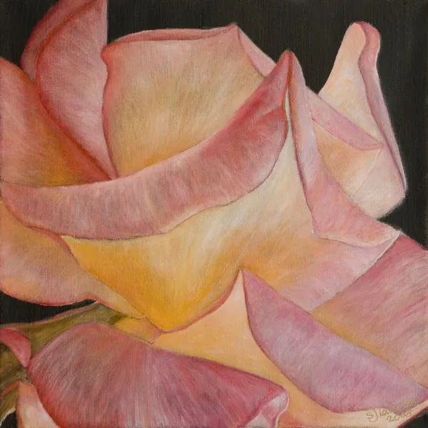 Abundance by Sue Lassetter