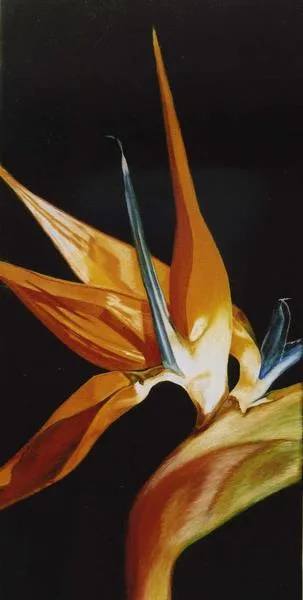 Bird of Paradise II by Sue Lassetter