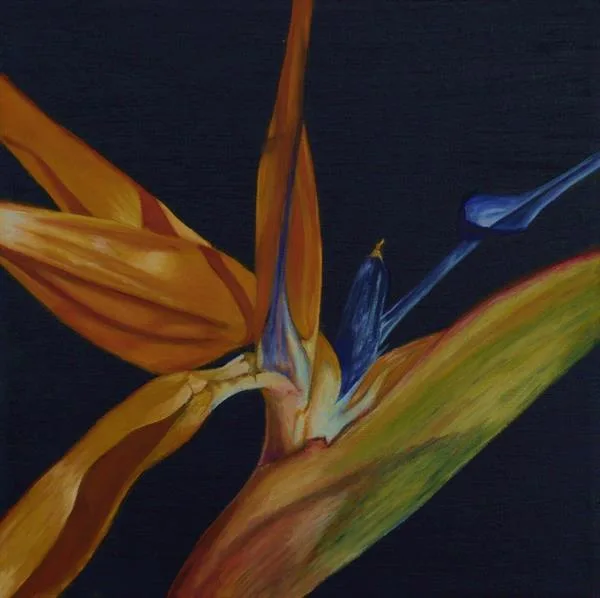 Bird of Paradise III by Sue Lassetter