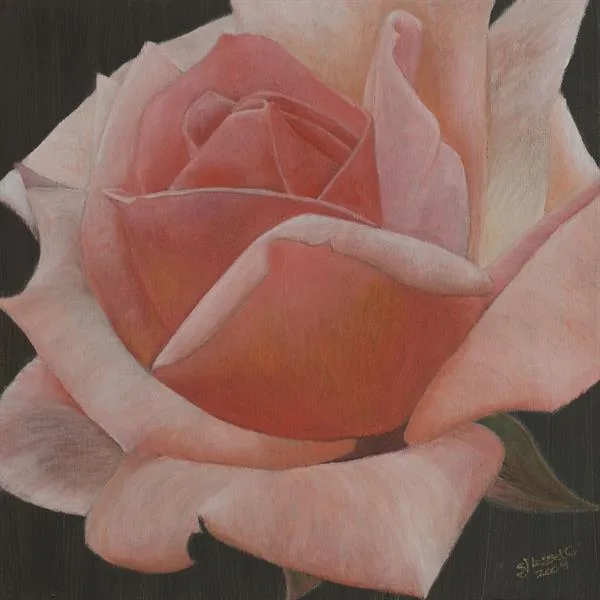 Breathtaking by Sue Lassetter