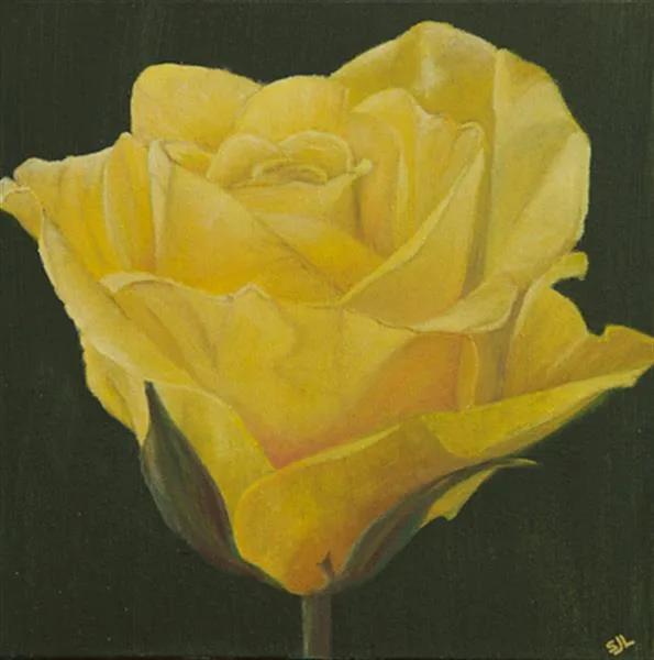 Buttercup by Sue Lassetter