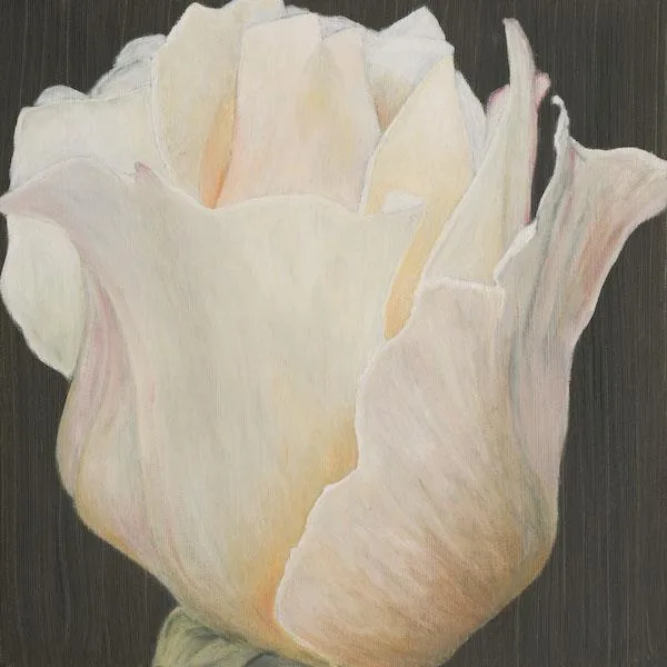 Creme de la Creme by Sue Lassetter