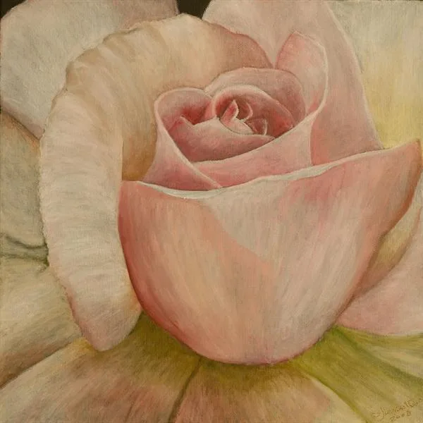 Delicate Beauty by Sue Lassetter