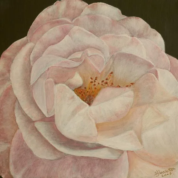 Dreamy by Sue Lassetter