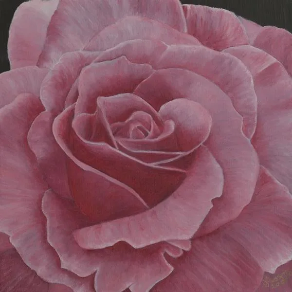 In the Pink by Sue Lassetter