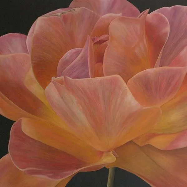 Just Beautiful by Sue Lassetter
