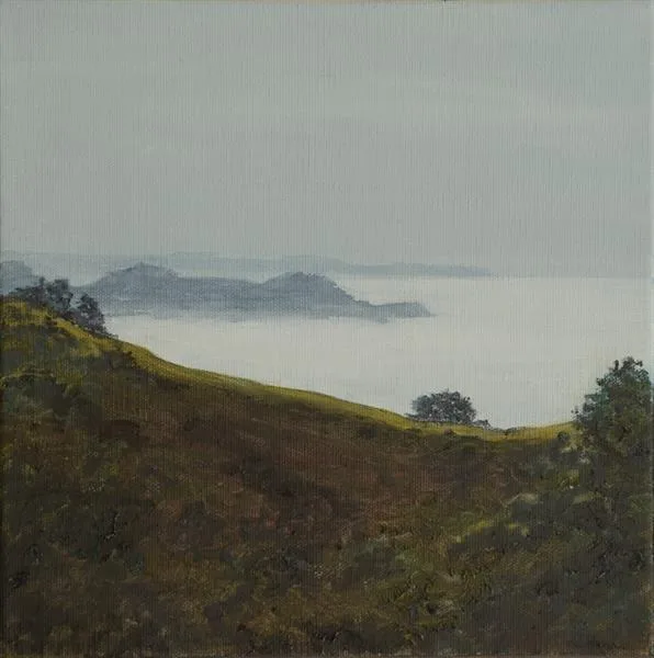 Marin Fog #3