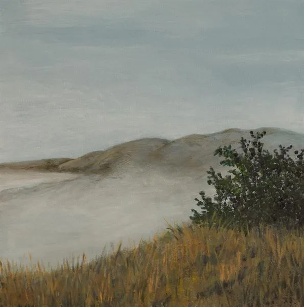 Marin Fog #5