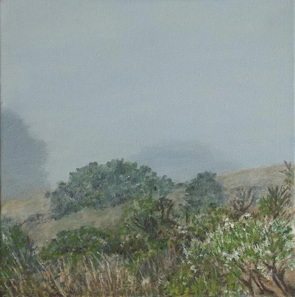 Marin Fog #8