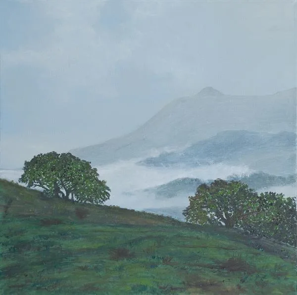 Marin Fog #9