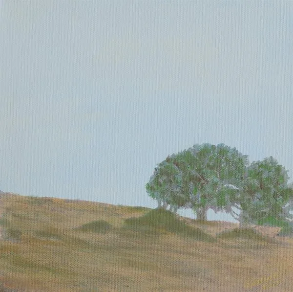 Marin Fog #11