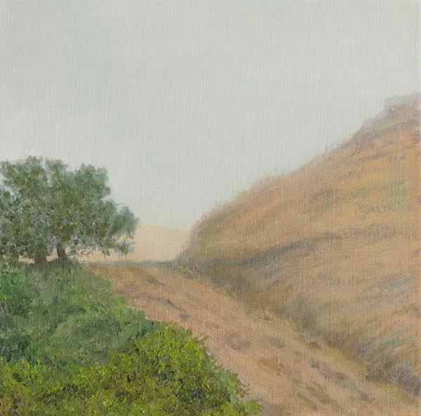 Marin Fog #12