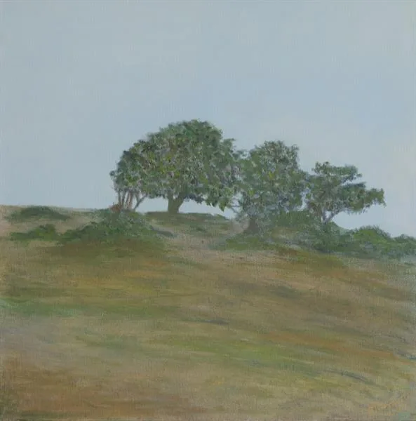 Marin Fog #13