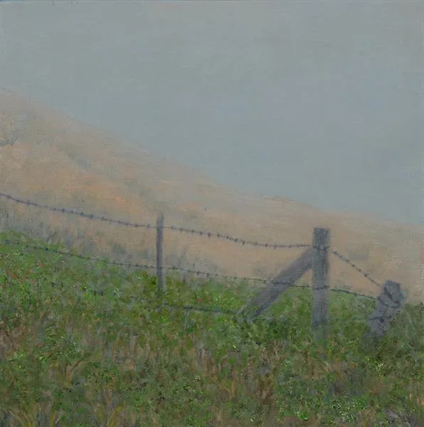Marin Fog #15