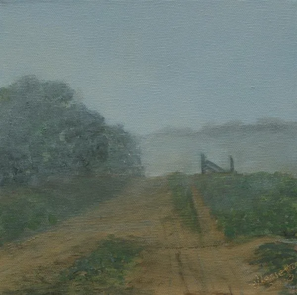 Marin Fog #16