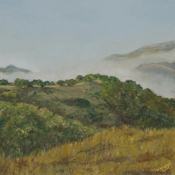 Marin Fog #17