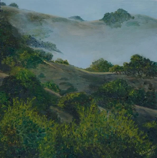 Marin Fog #18