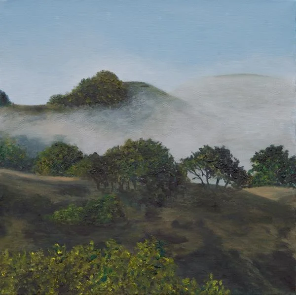 Marin Fog #19