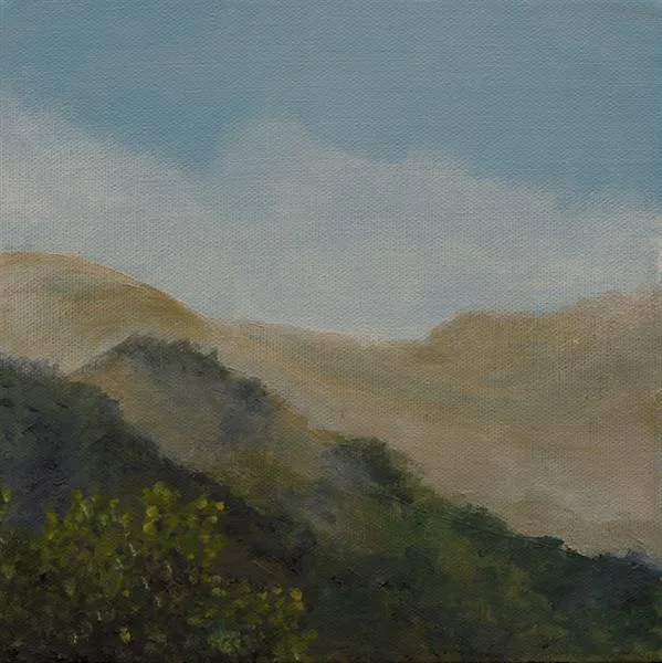 Marin Fog #22