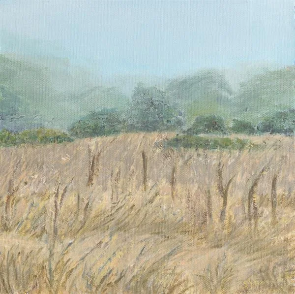 Marin Fog #23