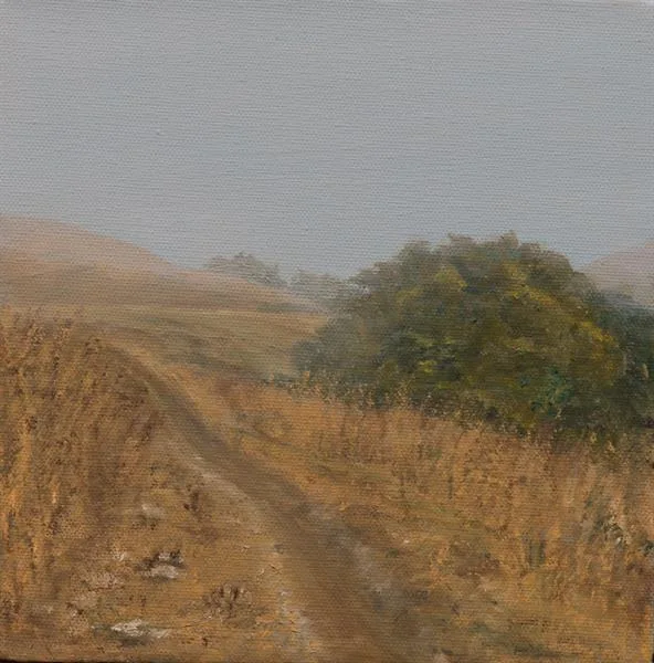 Marin Fog #25