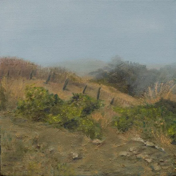 Marin Fog #26