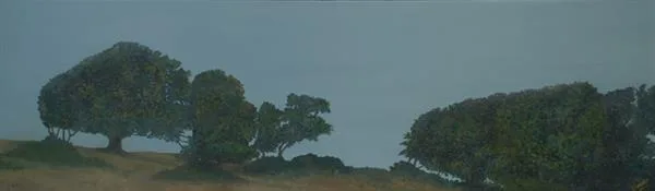 Marin Fog #28