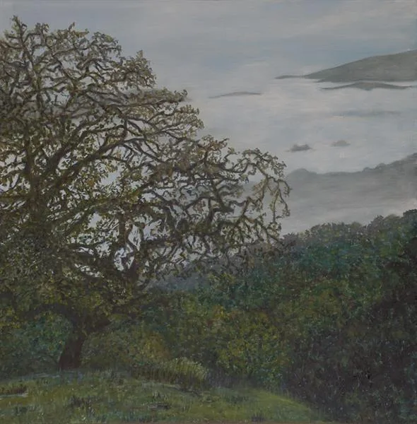 Marin Fog #29