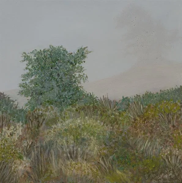 Marin Fog #30
