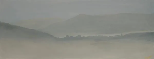 Marin Fog #31