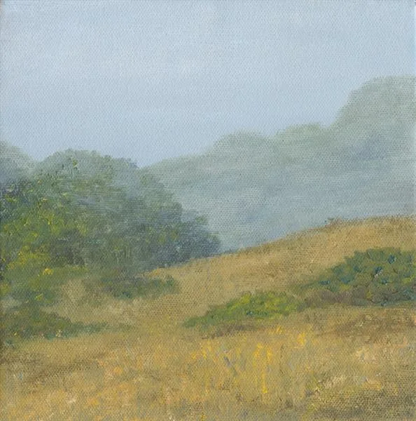 Marin Fog #38