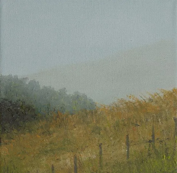 Marin Fog #39