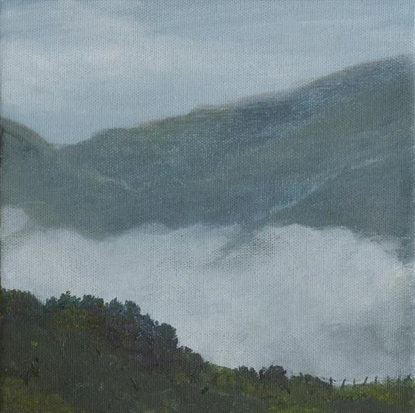 Marin Fog #40