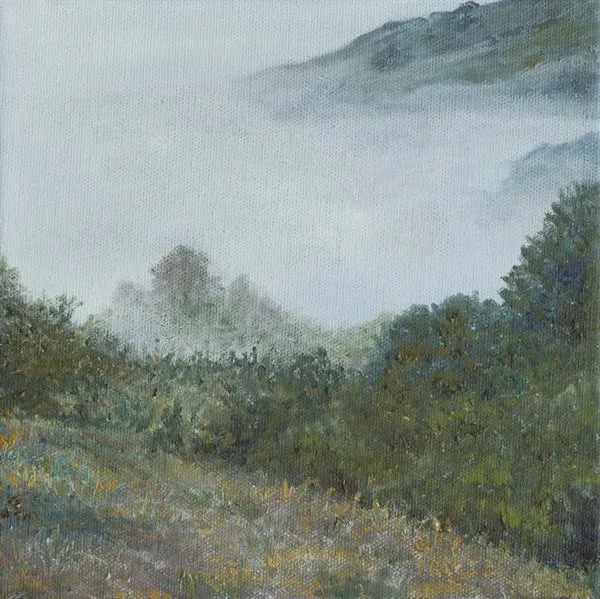 Marin Fog #41
