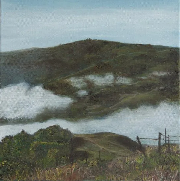 Marin Fog #42