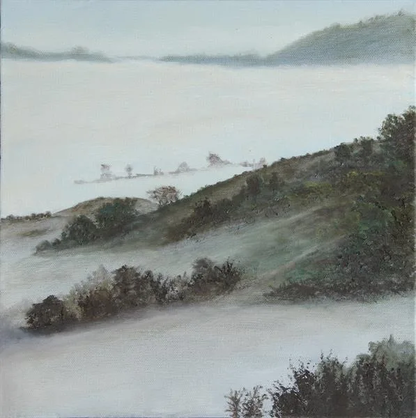 Marin Fog #43