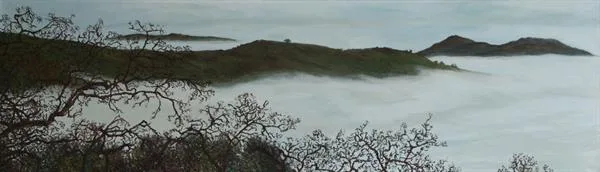 Marin Fog #44