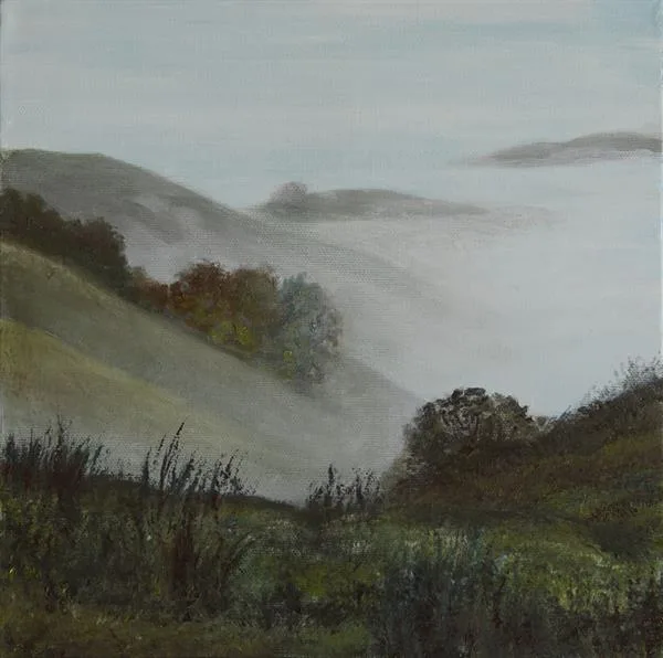 Marin Fog #45