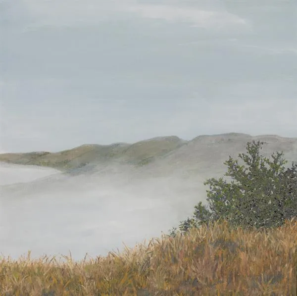 Marin Fog