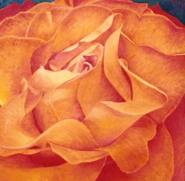 Michelle's Rose