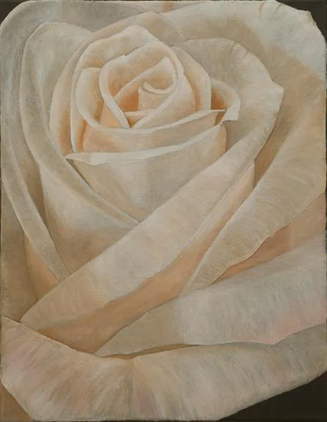 Nancy's Rose