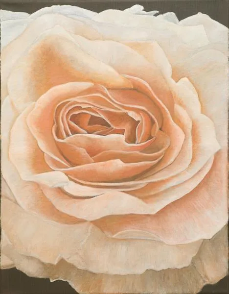 Nancy's Rose II