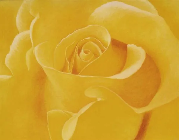 Radiant Rose by Sue Lassetter