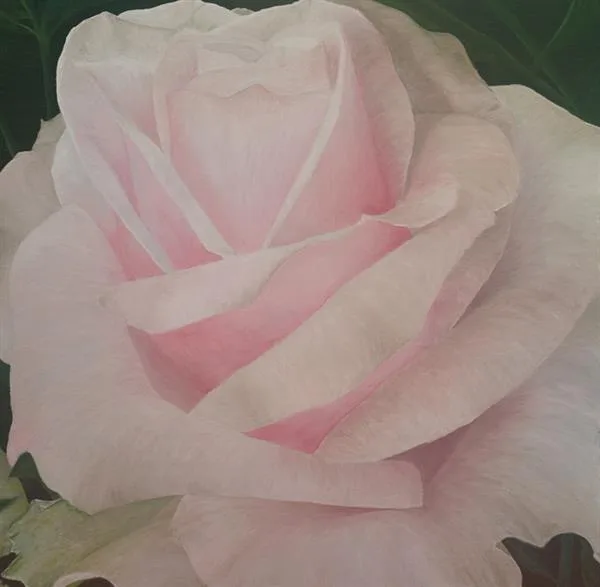Sarah's Rose