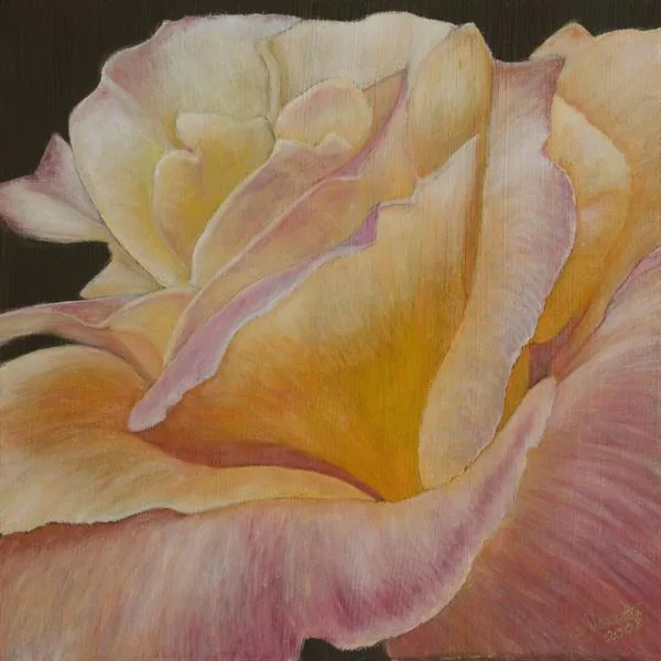 Shining by Sue Lassetter
