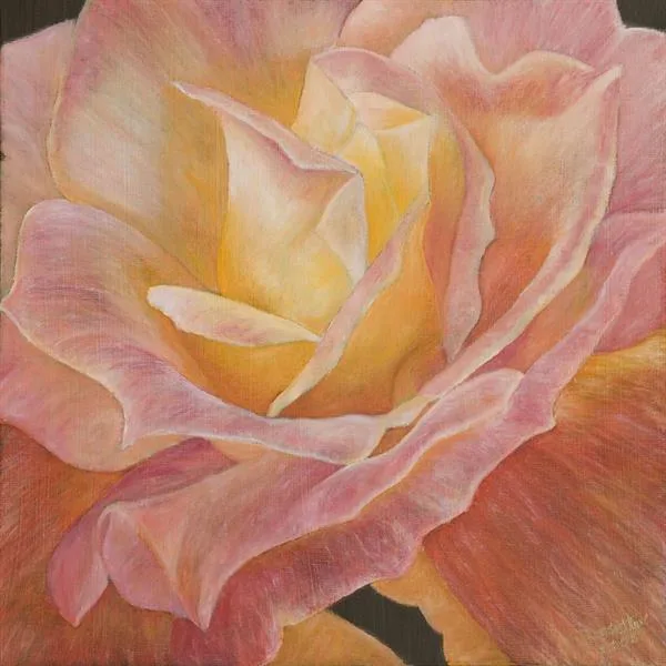 Sunblaze by Sue Lassetter