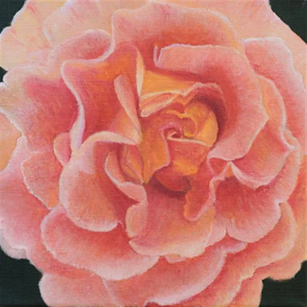 Tangerine Dream by Sue Lassetter
