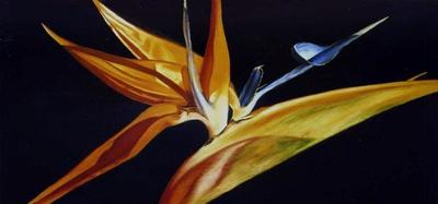 Bird of Paradise by Sue Lassetter
